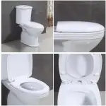 Dual Flush Toilet