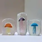 Jellyfish Glass