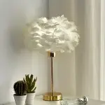 Feather Lamp