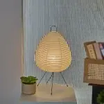 Egg-Shaped Table Lamp